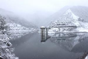 令和8年1月5日現在の様子