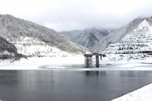 令和8年2月2日現在の様子