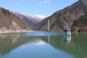 令和8年4月6日現在の様子