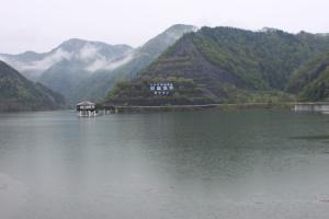 令和8年4月27日現在の様子