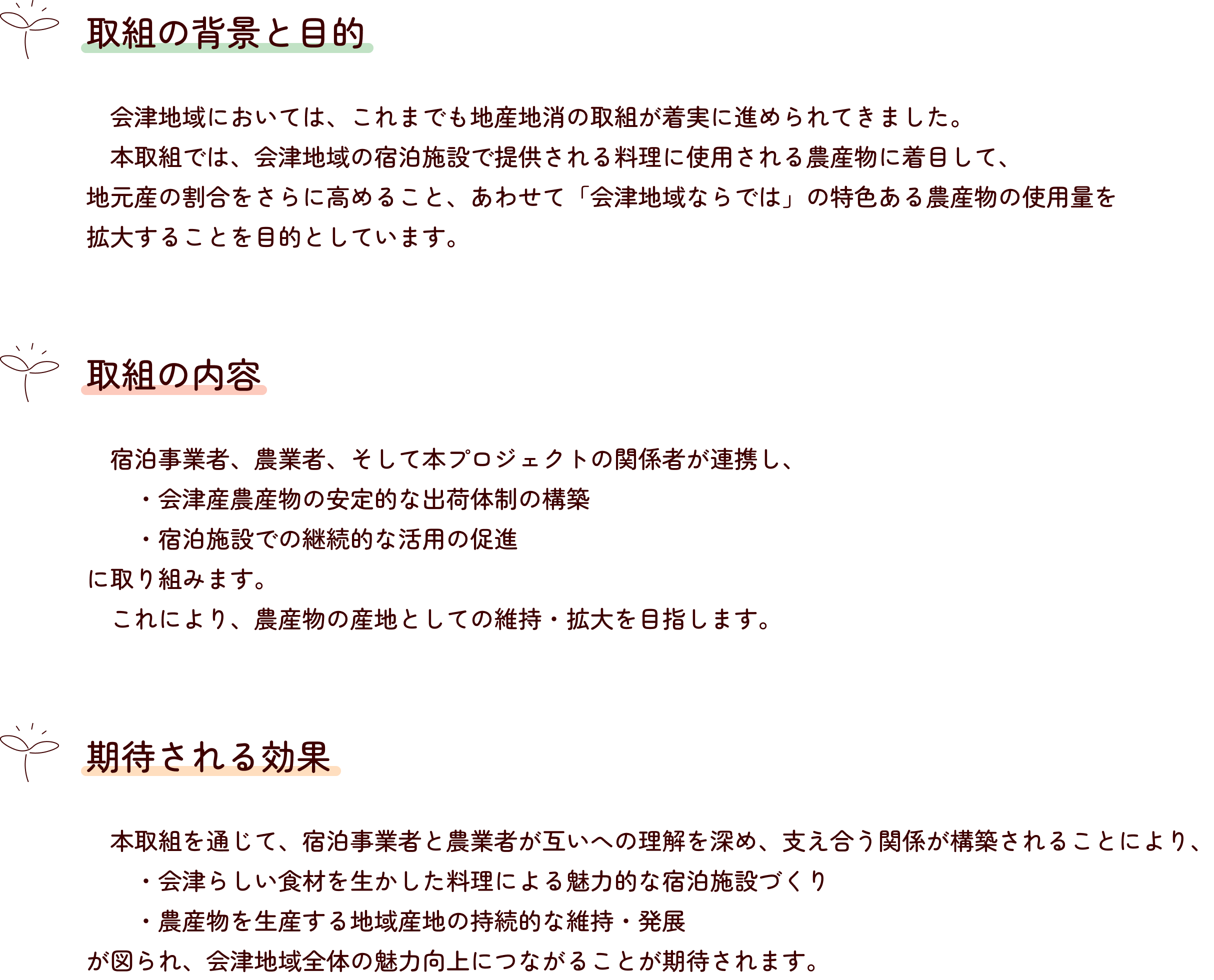 取り組みの内容