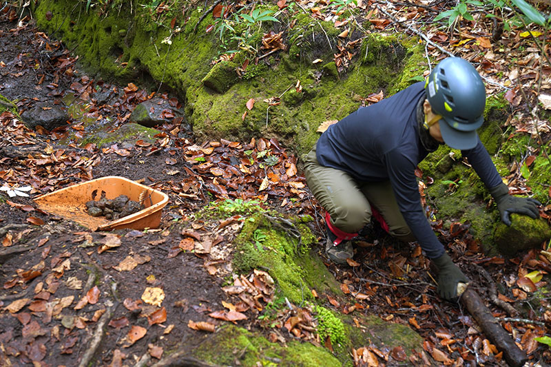 登山道上に堆積した土砂から石を掘り出す