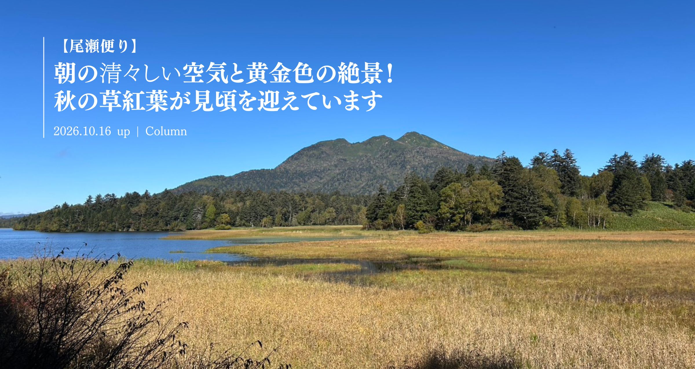 山小屋